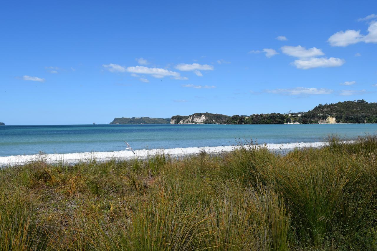 Paradise In Whitianga B&B Wells Place Екстериор снимка